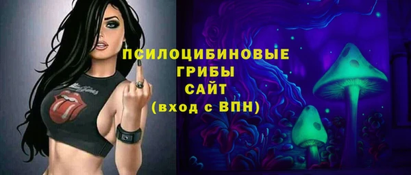 мескалин Няндома