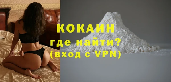 индика Нязепетровск